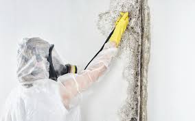 Best Residential Mold Inspection & Testing  in Maple Park, IL